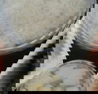 Chickilia - Sydney Tourism