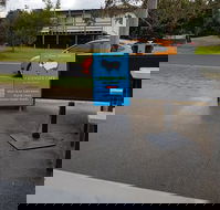 The Wooli General - Sydney Tourism