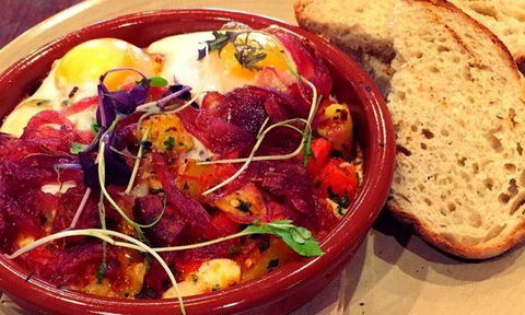 The Lagoon - Sydney Tourism 10