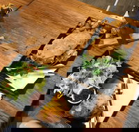 Two Little Owls Cafe - Sydney Tourism