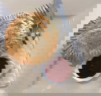 24 Karat Cafe - Sydney Tourism