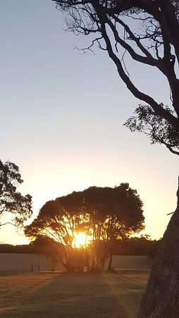 Mallacoota Golf & Country Club - Sydney Tourism 0