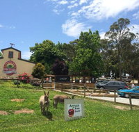 Sherwood Park Orchard Bakery Cafe