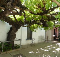 The Vine - Sydney Tourism