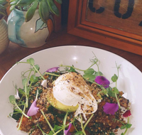 The Shak Organic Cafe  Wine Bar - Sydney Tourism
