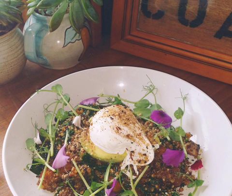 The Shak Organic Cafe & Wine Bar - Sydney Tourism 0