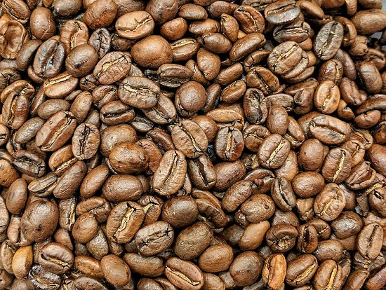 Yadboro NSW Sydney Tourism