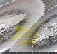 Hampden Deli Dining and School - Sydney Tourism