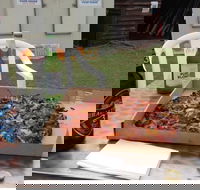 Lake Conjola General Store Cafe - Sydney Tourism