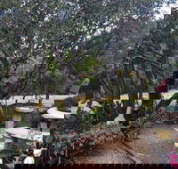 Leonies Little Tree Cafe - Sydney Tourism