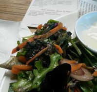 Sandbar Cafe and Bar - Sydney Tourism