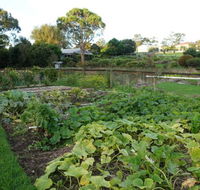 St Isidore - Sydney Tourism