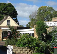 Tipsy Fig - Sydney Tourism