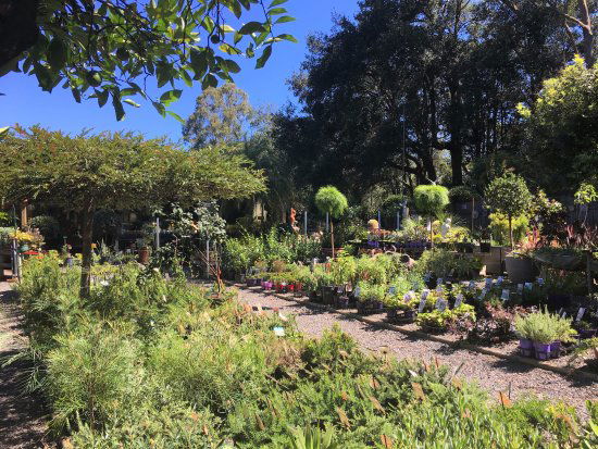 Yatte Yattah NSW Sydney Tourism