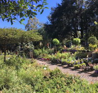 Yatte Yattah Nursery  Cafe - Sydney Tourism