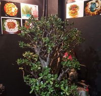 Wagyu Factory Korean BBQ Restaurant - Sydney Tourism