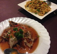 Royal Garden Wagga - Sydney Tourism