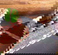 The Food Co Patisserie - Sydney Tourism