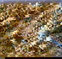 Addil Indian  Kebab Restaurant - Sydney Tourism