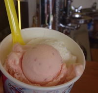 Bermagui Gelati Clinic - Sydney Tourism