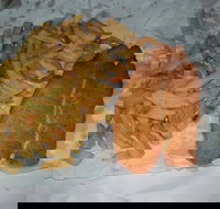 Chipp Inn - Sydney Tourism