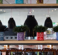 Collegians Balgownie - Sydney Tourism