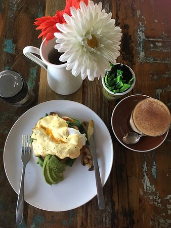 Springfield NSW Sydney Tourism