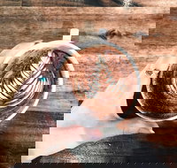 The Anchor Coffee House - Sydney Tourism