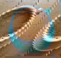 The Branches Coffee Roasters