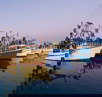 Clarence River Fishermen's Co-Operative - Sydney Tourism