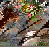 Dusty Beans Cafe - Sydney Tourism