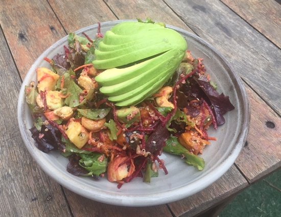 Firefly NSW Sydney Tourism