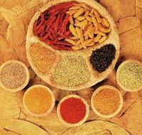 Tehzeeb Indian and Australian Restaurant - Sydney Tourism