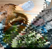 Caffe Cherry Beans Canberra Centre - Sydney Tourism