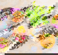 HiPoke Kirra - Sydney Tourism