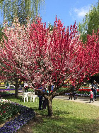 Ngunnawal ACT Sydney Tourism