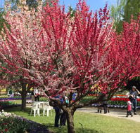 Mirchi Indian Cuisine - Sydney Tourism