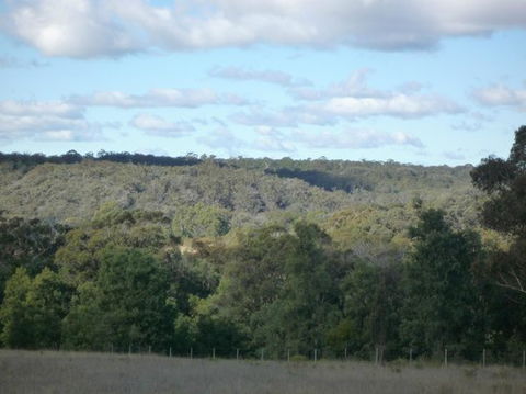 U Saucey Thing - Sydney Tourism 0