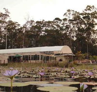 Abundance Cafe and Garden Centre - Sydney Tourism