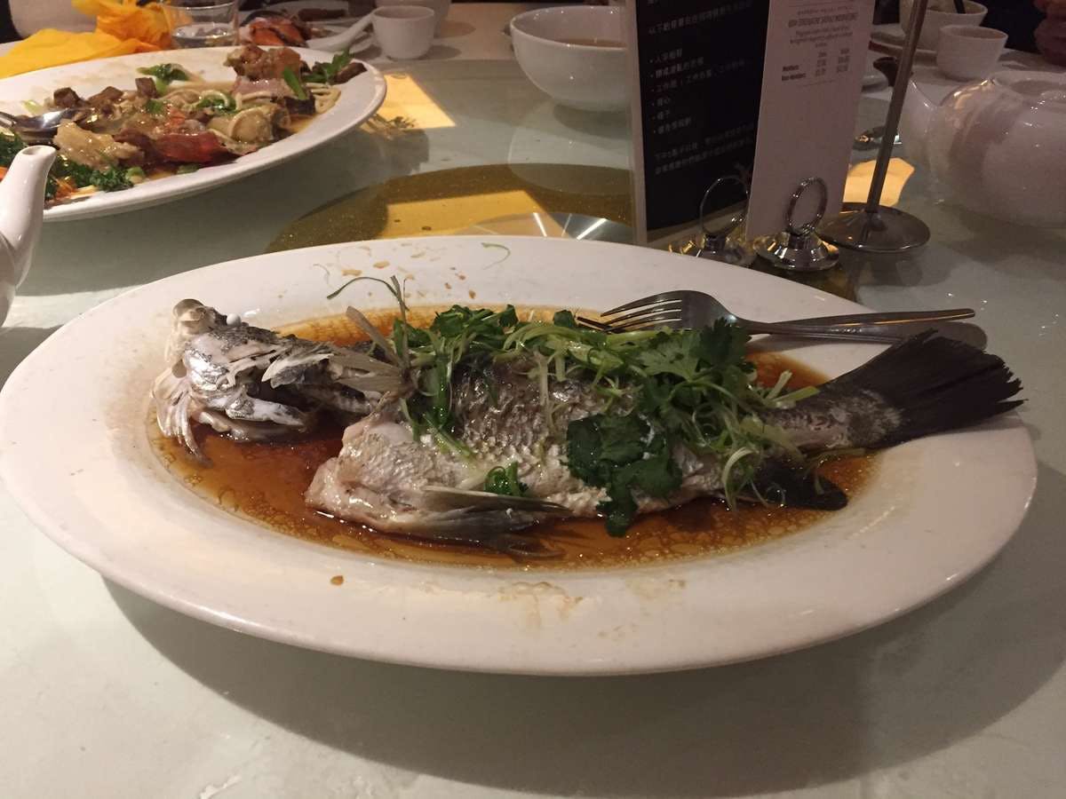 West Ryde NSW Sydney Tourism