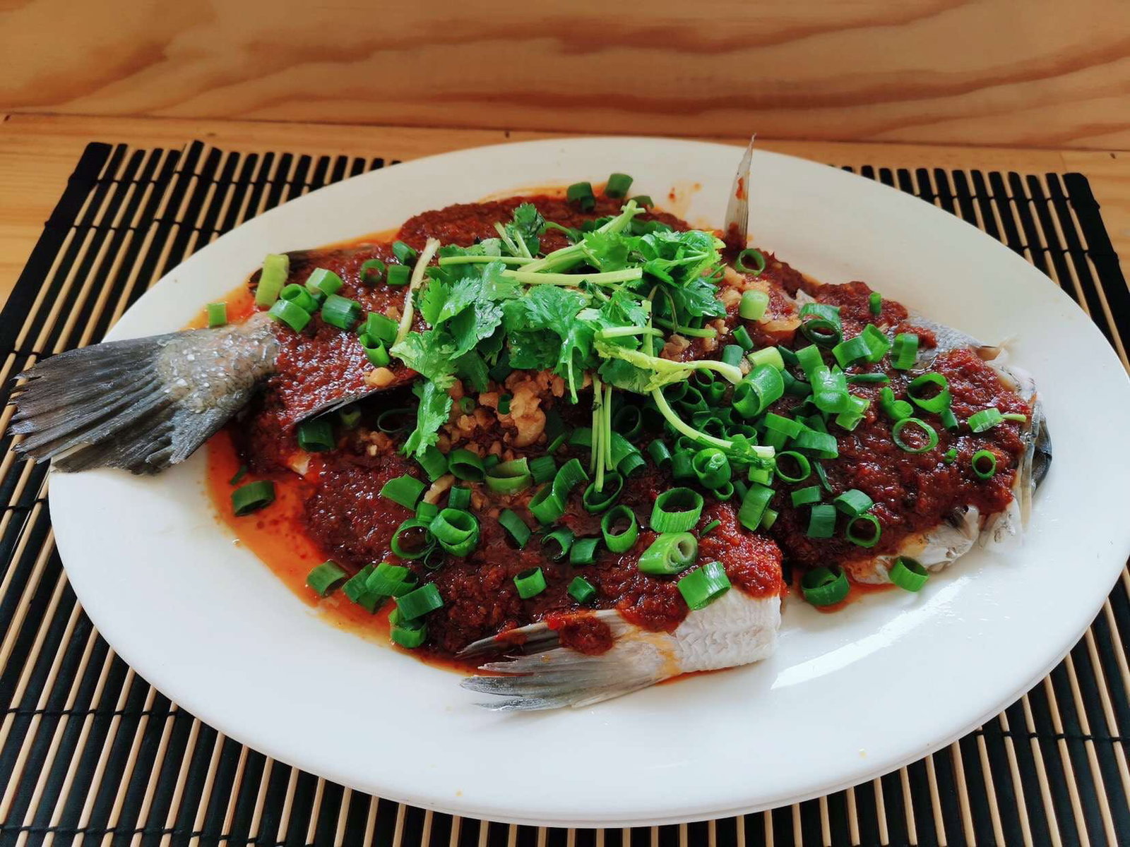 Springvale VIC Sydney Tourism