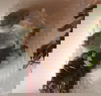 Dai Nam Cafe  Restaurant