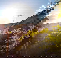 fermentAsian Restaurant