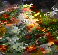 Talk to Me - Sydney Tourism