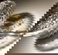 T Totaler - Newtown - Sydney Tourism