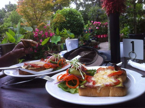 Wyee Nursery Cafe - Sydney Tourism 0