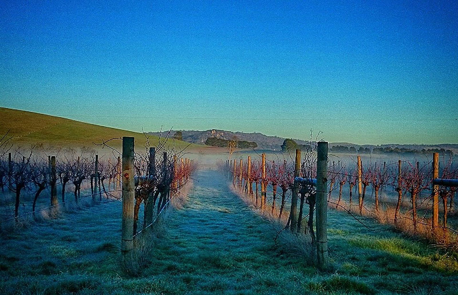 Allendale VIC Sydney Tourism