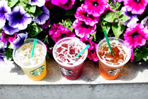 Starbucks - Hurstville - Sydney Tourism 0