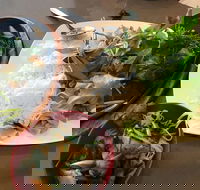 Thien An - Sydney Tourism