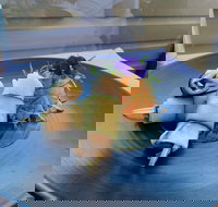 Echoes Restaurant - Sydney Tourism